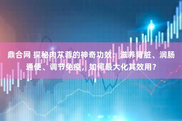 鼎合网 探秘肉苁蓉的神奇功效：滋养肾脏、润肠通便、调节免疫，如何最大化其效用？