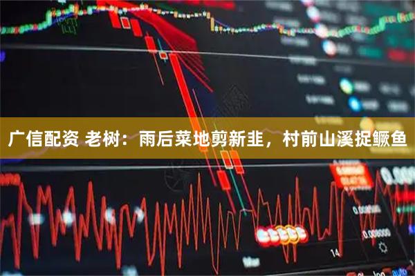 广信配资 老树：雨后菜地剪新韭，村前山溪捉鳜鱼