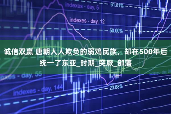 诚信双赢 唐朝人人欺负的弱鸡民族，却在500年后统一了东亚_时期_突厥_部落