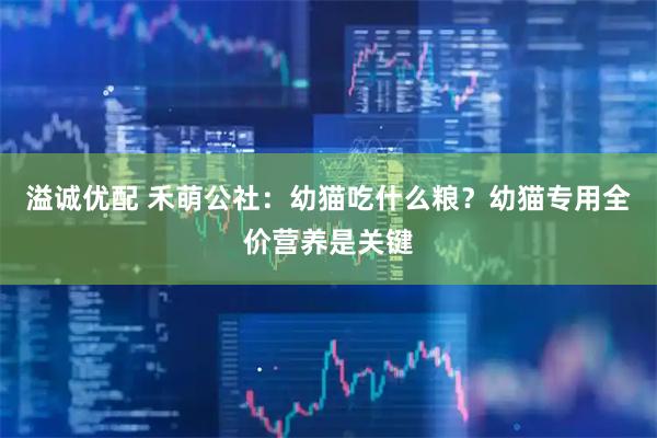 溢诚优配 禾萌公社：幼猫吃什么粮？幼猫专用全价营养是关键