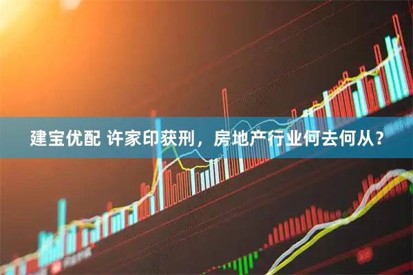 建宝优配 许家印获刑，房地产行业何去何从？